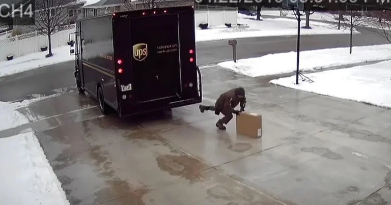 UPS driver uses hilariously clever method to deliver package on icy driveway