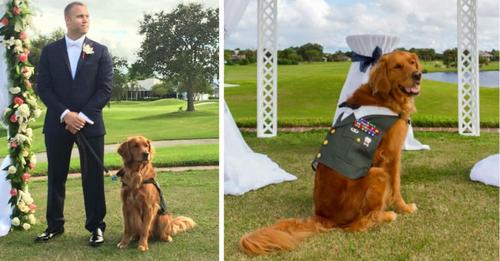 Wounded veteran gets his service dog to be the best man at his wedding