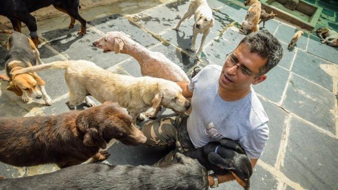 A software engineer built a huge farm where he raises 735 homeless, old and sick dogs that nobody wants