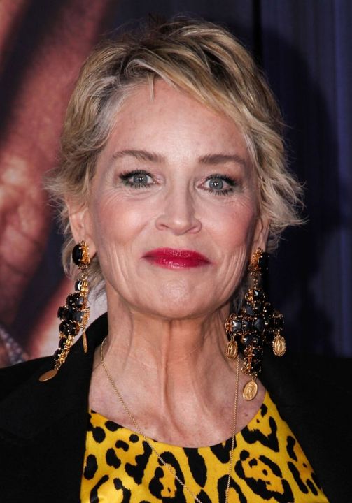 Fans praise Sharon Stone at 66, others criticize natural beauty, say she looks old