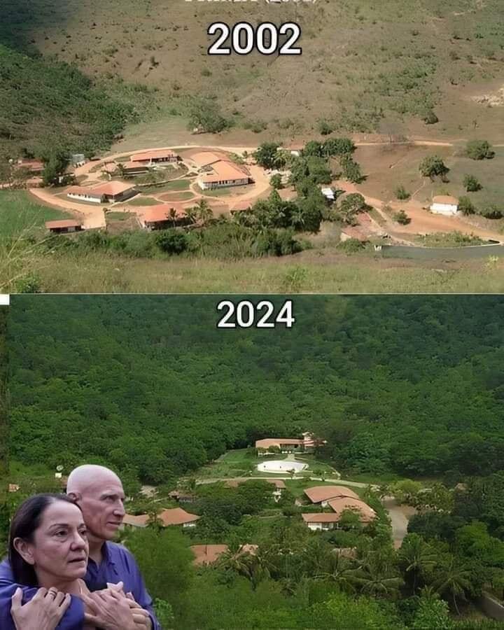 From Barren Wasteland to Thriving Ecosystem: The Incredible Story of a Brazilian Couple’s Reforestation Project