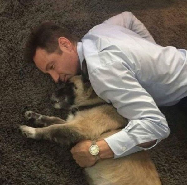 David Duchovny announces death of beloved rescue dog Brick: shares beautiful poem as tribute