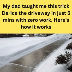 Tips for Safely Clearing Ice from Your Walkways This Winter